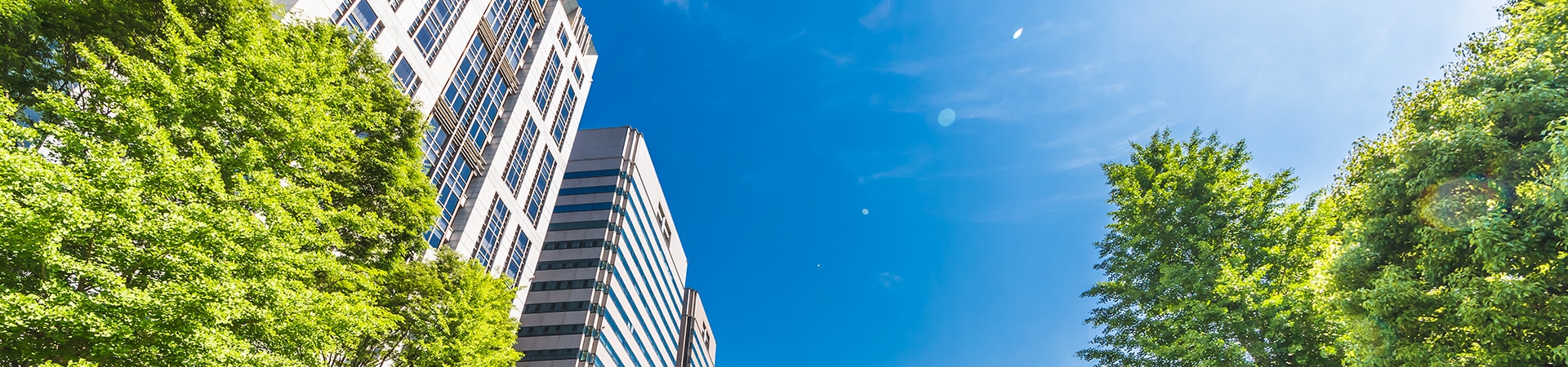 プライバシーポリシー