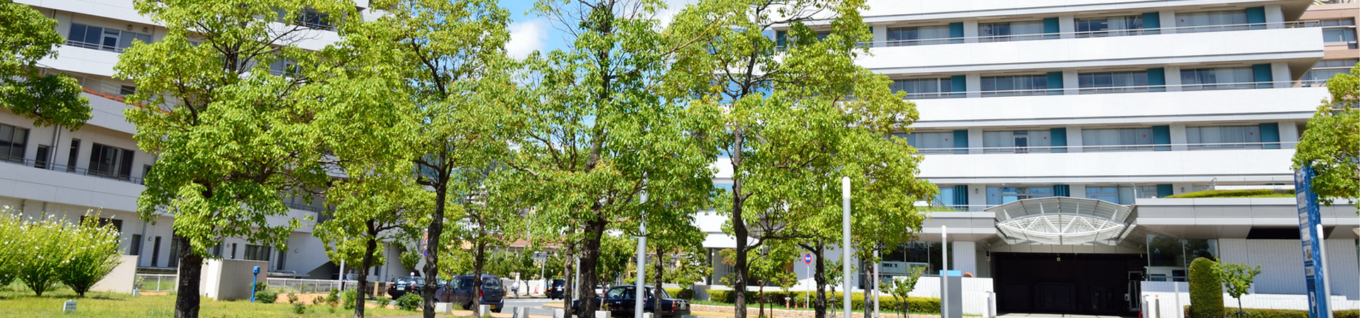 適風環境と総合計画ツール